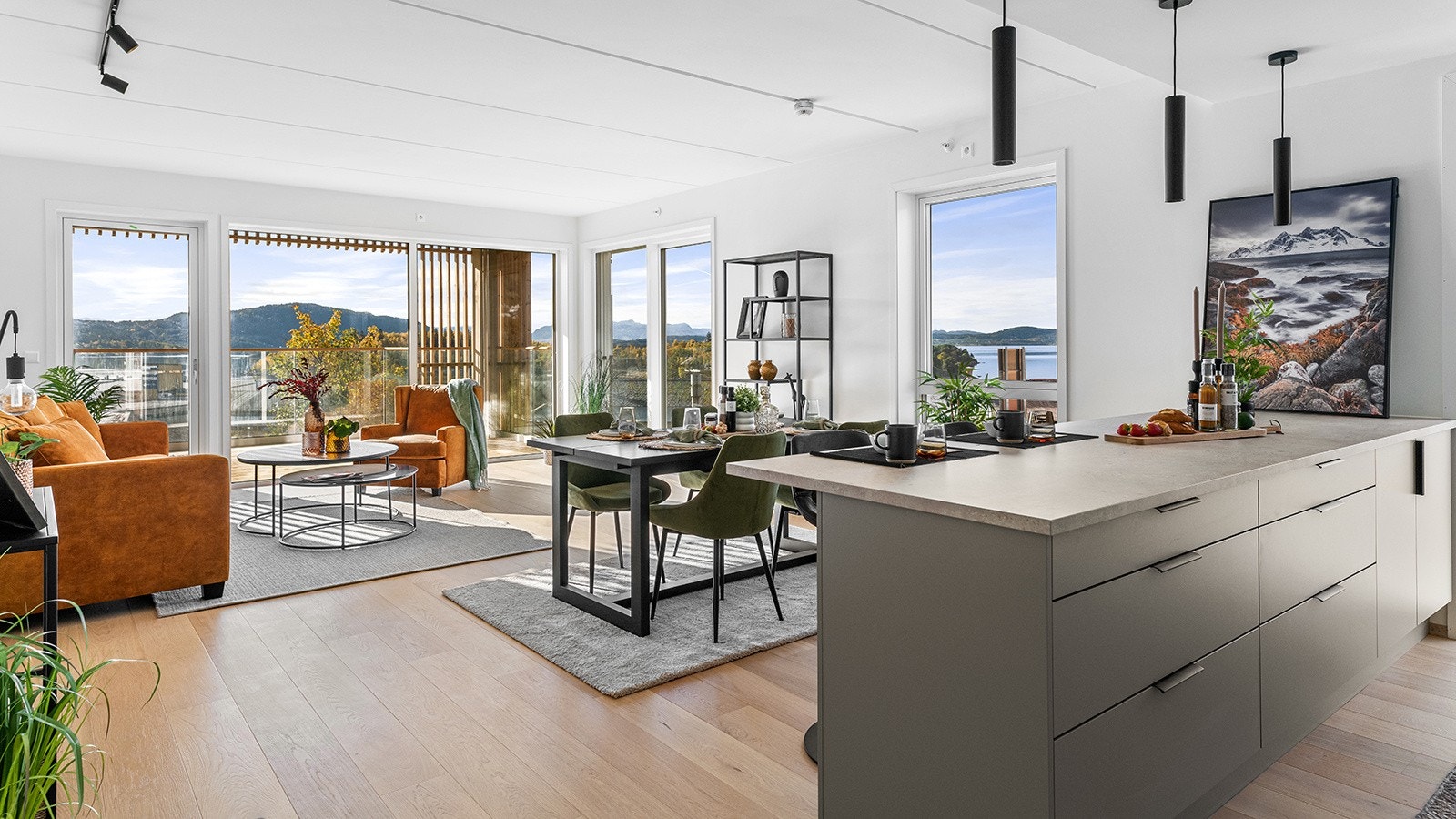 4927685_1-lhhivb1.jpg Galleribilde