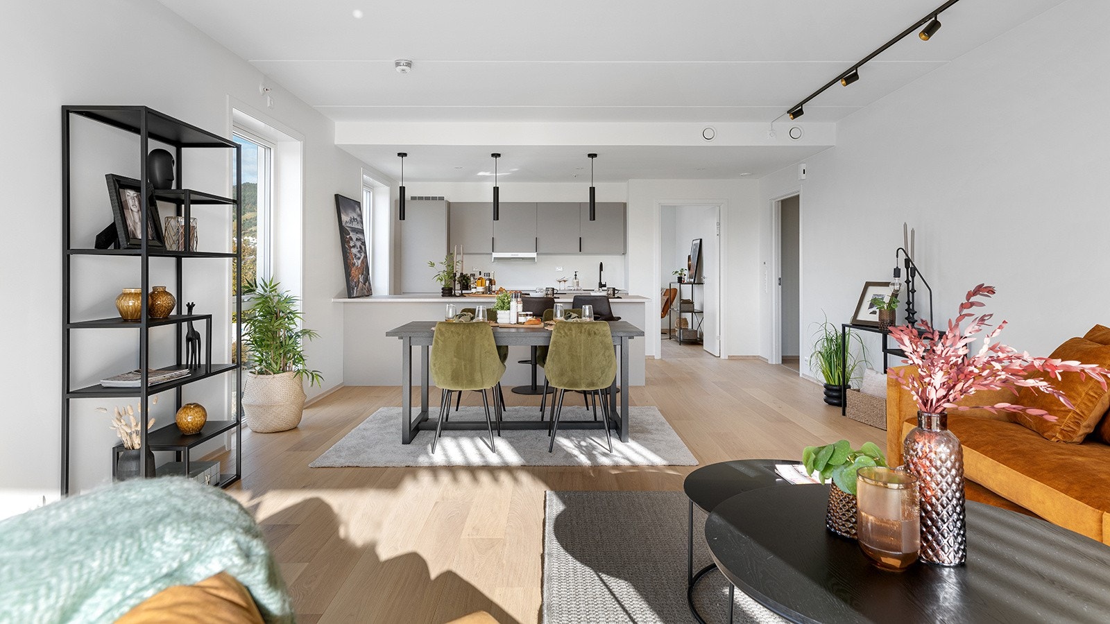 4927689_1-vpzhrb1.jpg Galleribilde