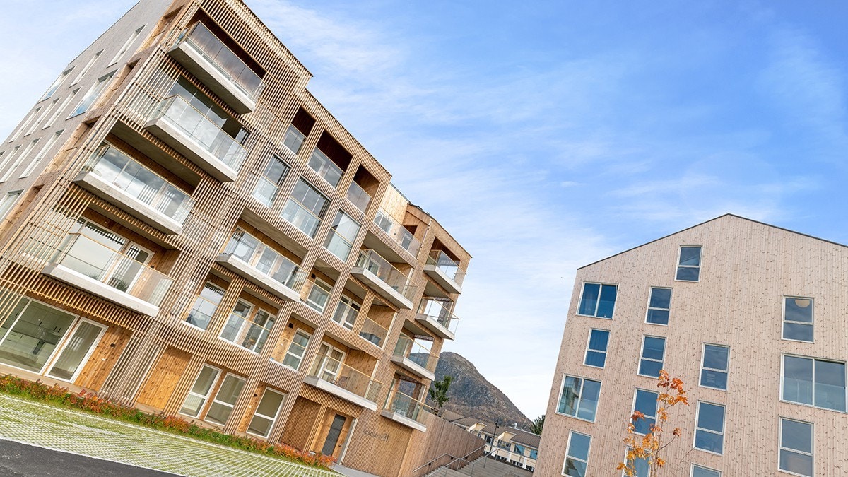 4927726_1-shzcvb1.jpg Galleribilde