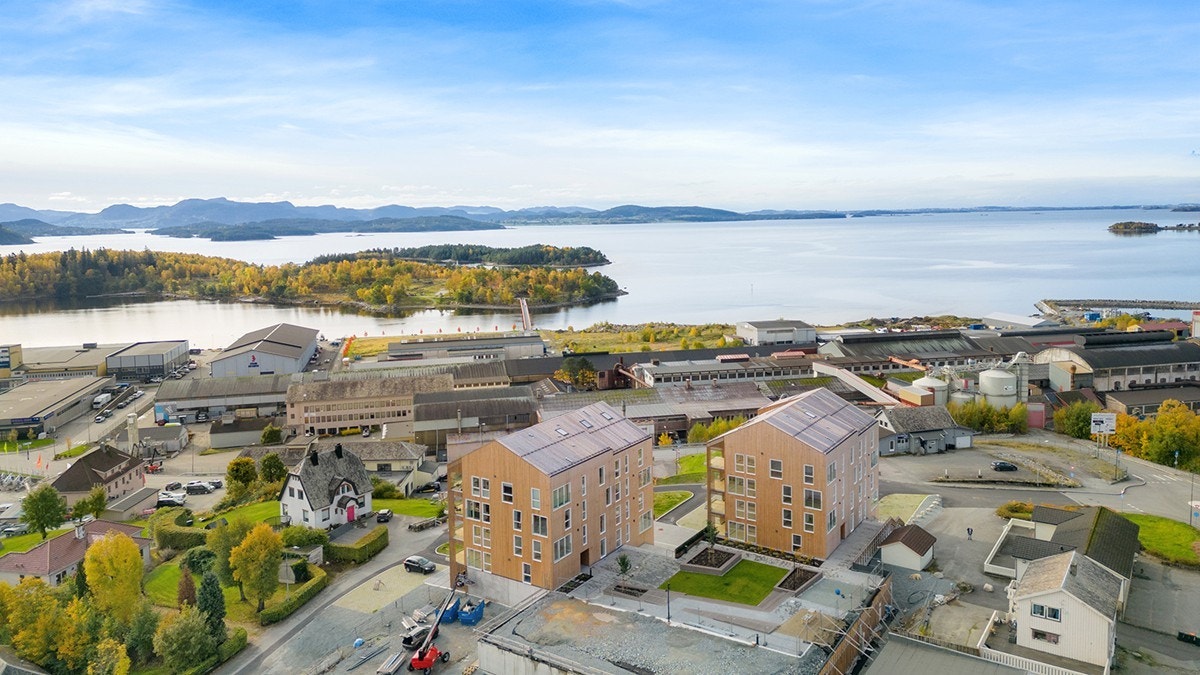 4927716_1-xxoayb1.jpg Galleribilde