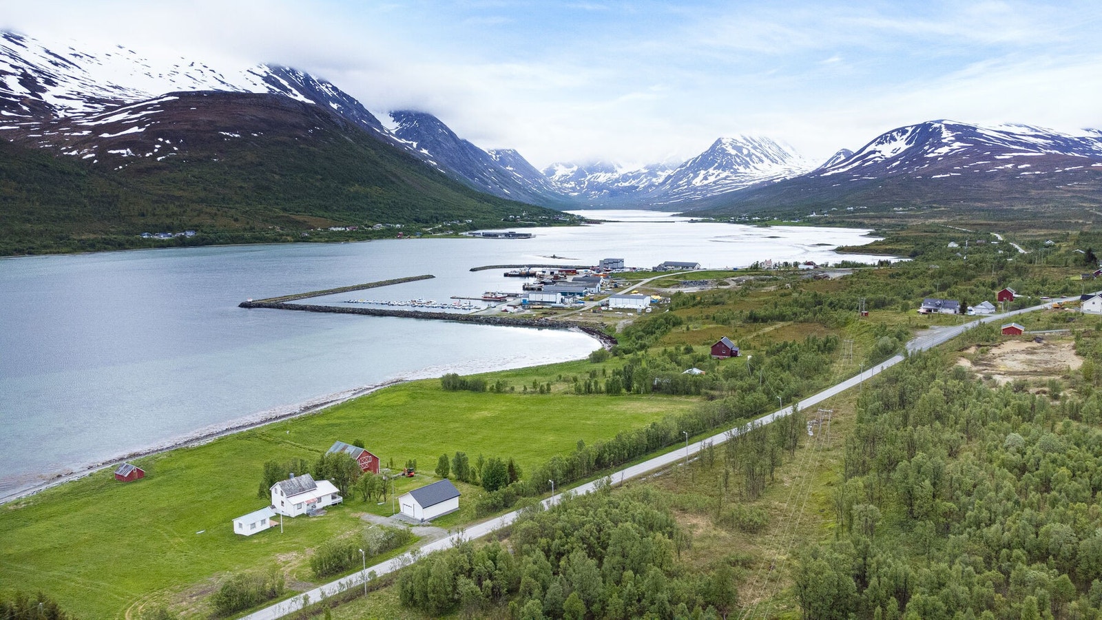 Område Galleribilde