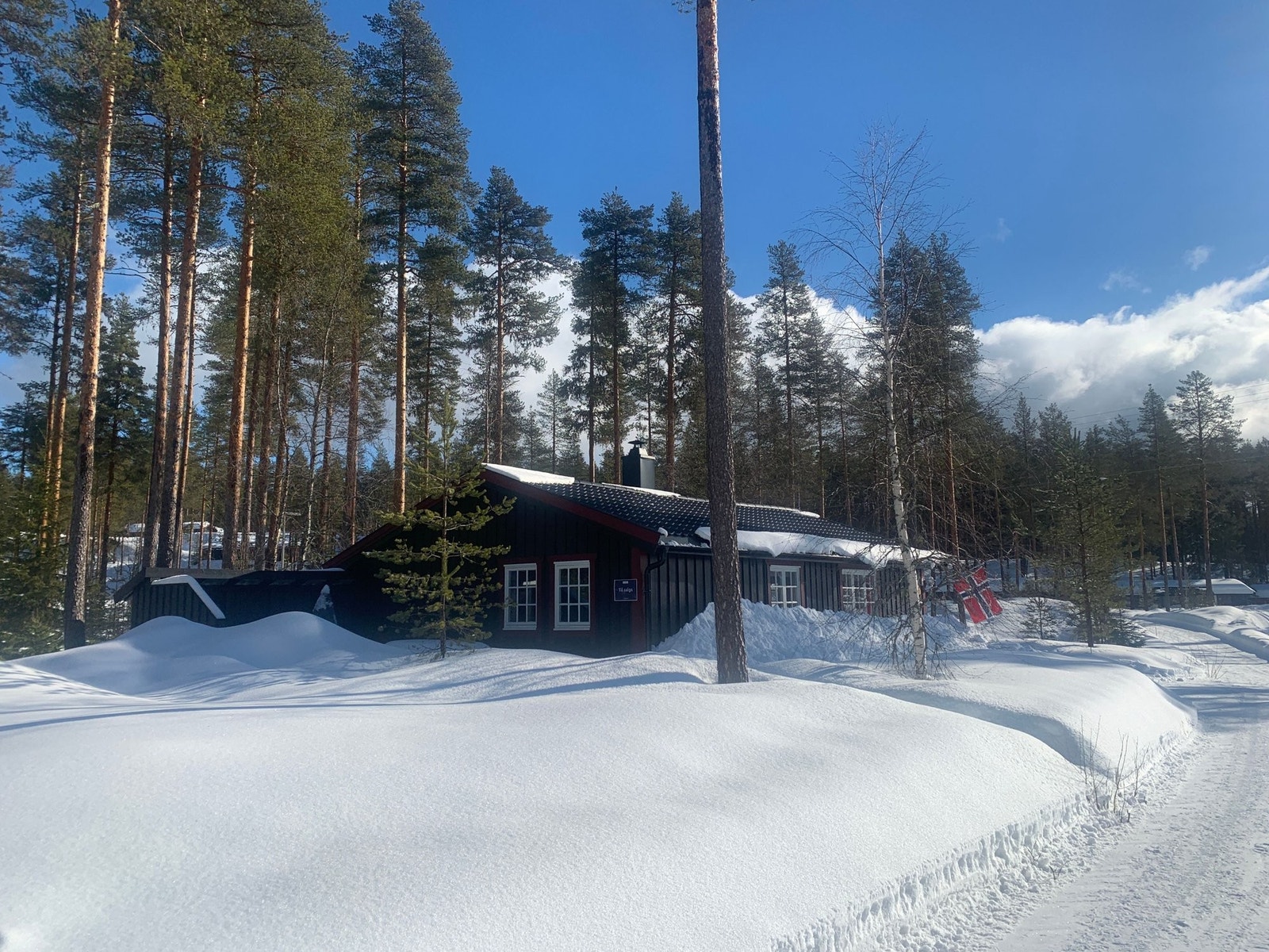 Velkommen til Hoelskogen 39 Galleribilde