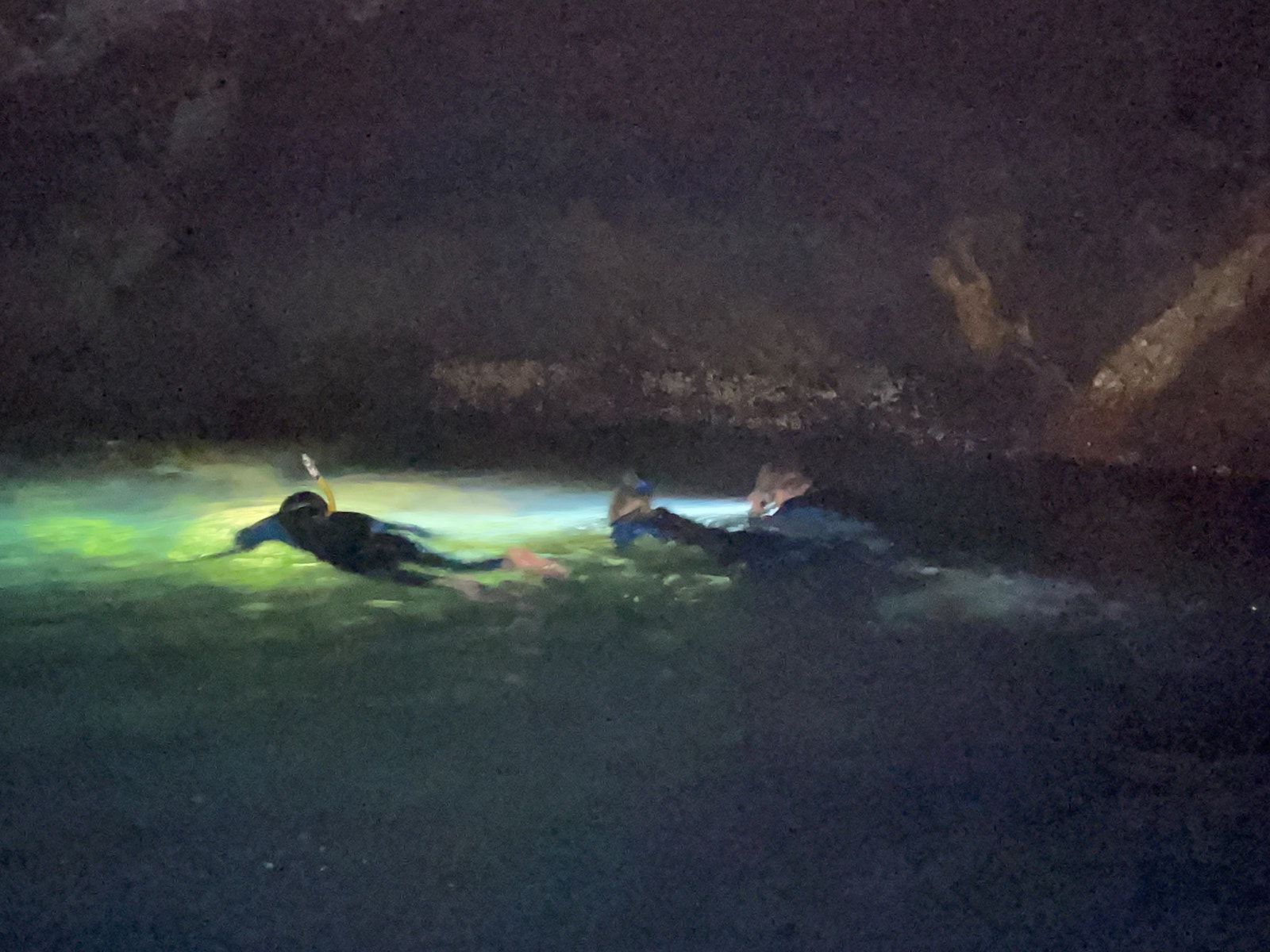 Lystring etter krabber Galleribilde