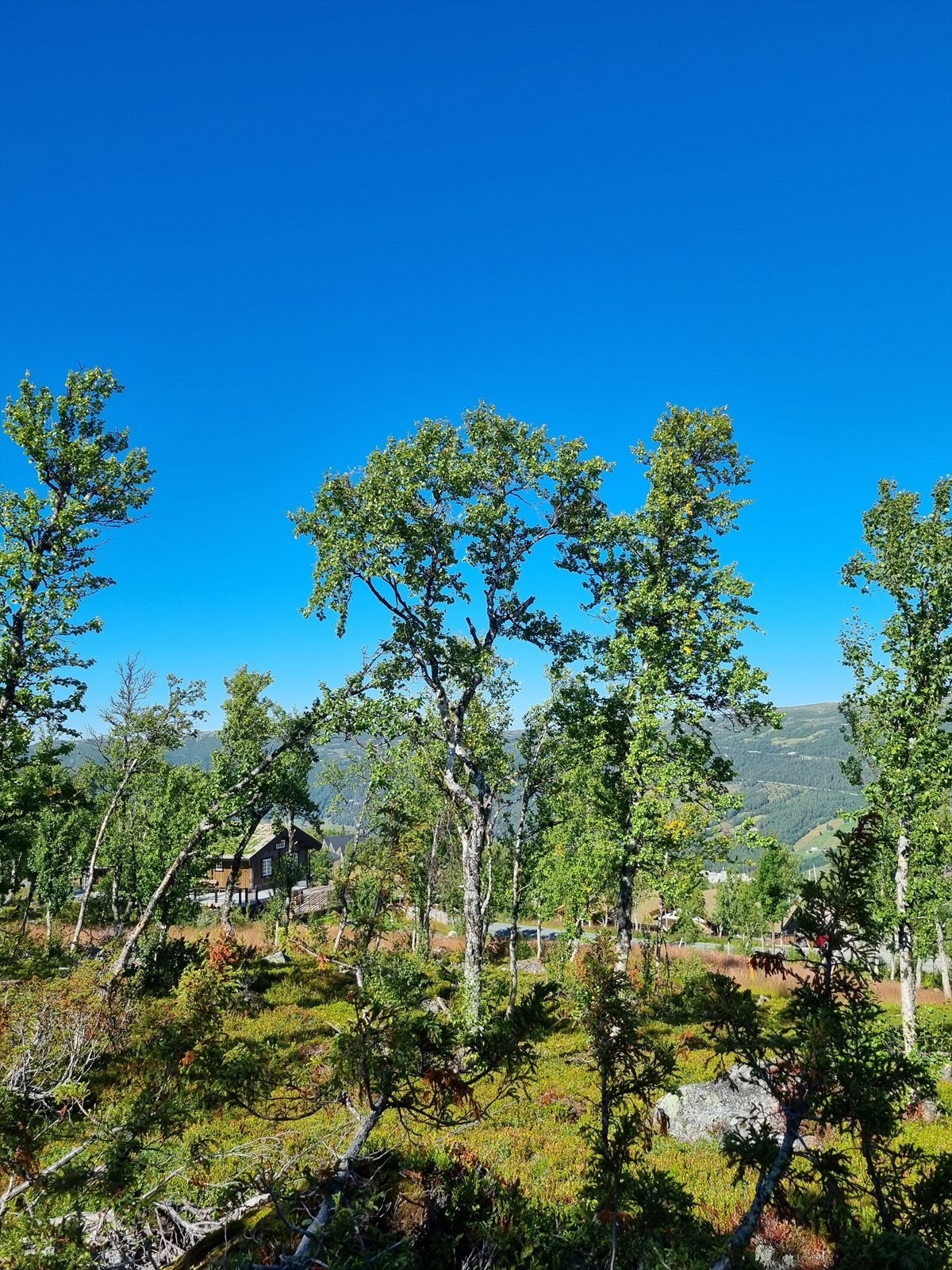 Det står skilt på tomten, slik at interessenter enkelt finner frem ved besiktigelse Galleribilde