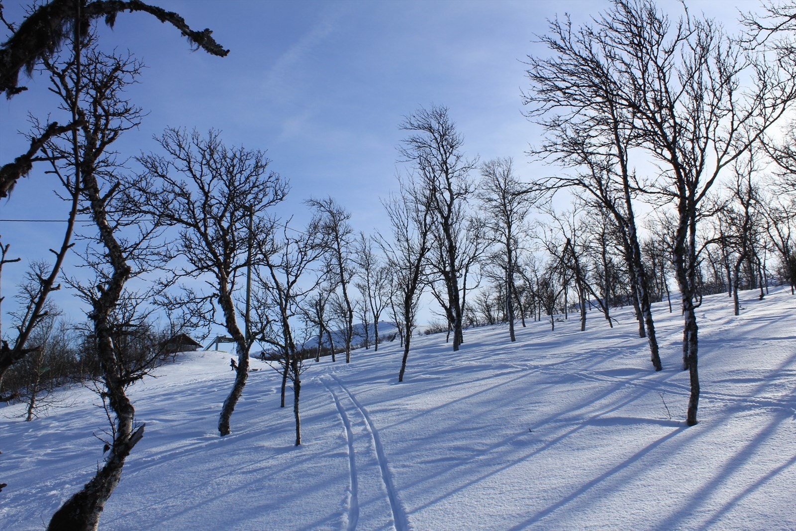 Området byr på et godt utvalg aktiviteter, og er like passende for deg som liker slalåm og deg som liker langrenn. I sommerhalvåret er tomten et godt utgangspunkt for fotturer på Hardangervidda som er Norges største nasjonalpark Galleribilde