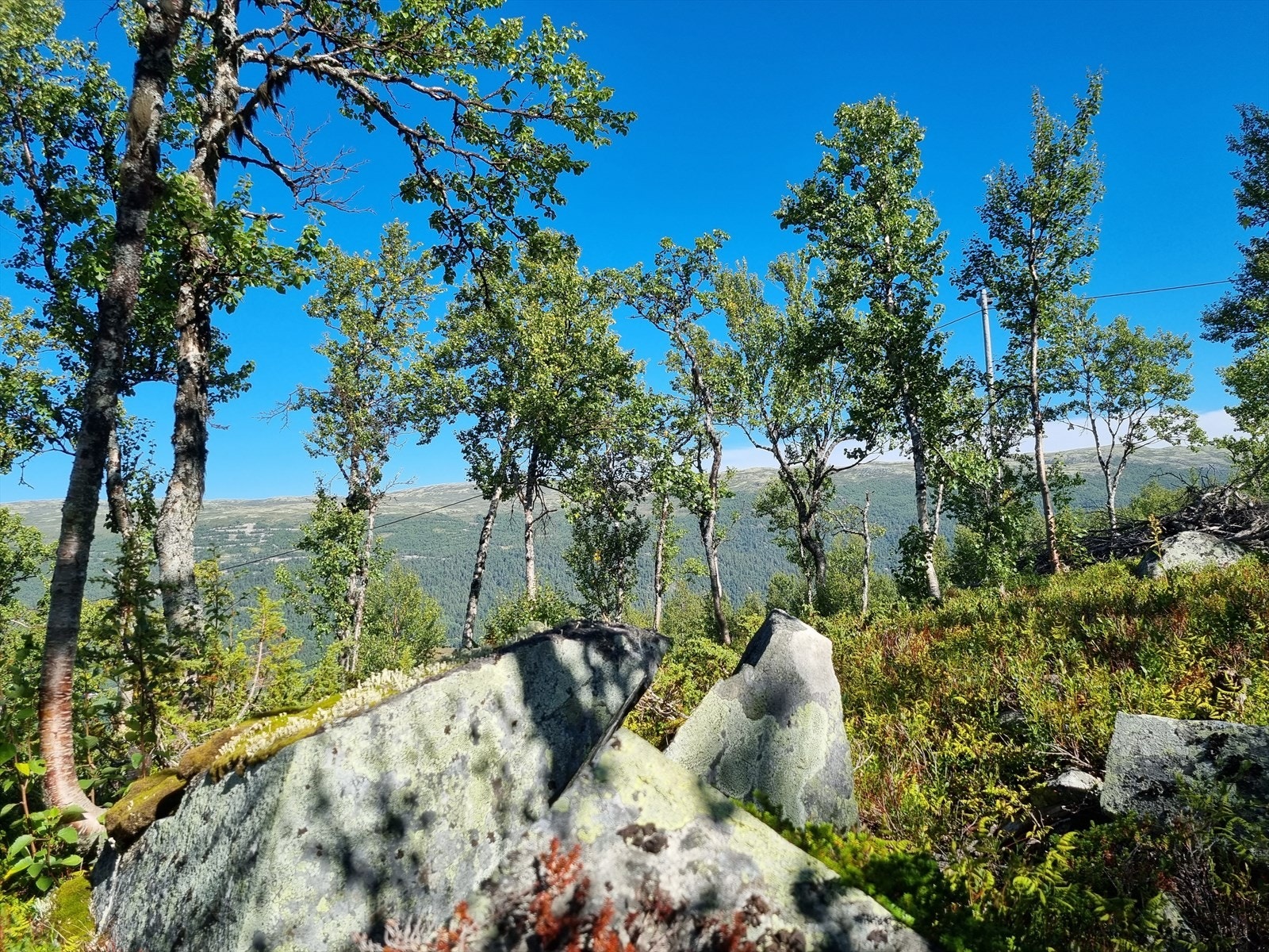Langedrag naturpark ligger ca. 55 minutters biltur fra alpinsenteret, og har åpent hele året. Her er det fine aktiviteter for hele familien. Galleribilde