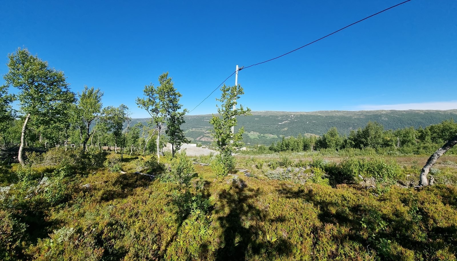 Uvdal har ikke valgt slagordet "tettere på naturen" for ingenting. Uvdal er en fantastisk helårsdestinasjon, men mange aktiviteter som passer både store og små, sommer som vinter. Galleribilde