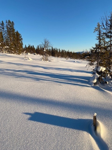 Sett fra tomt 5 (til venstre)
Her kan man få prosjektert hytte! Galleribilde