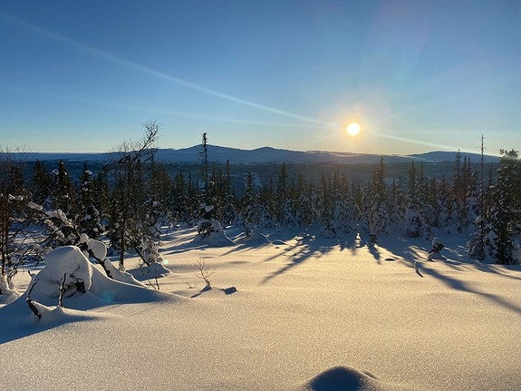 Fra tomt 1 Galleribilde