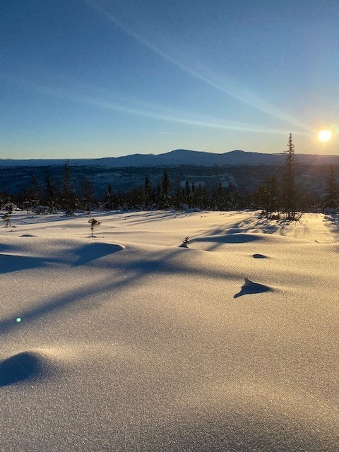 Sett fra tomt 5 (til tomt 6)
Her kan man få prosjektert hytte! Galleribilde