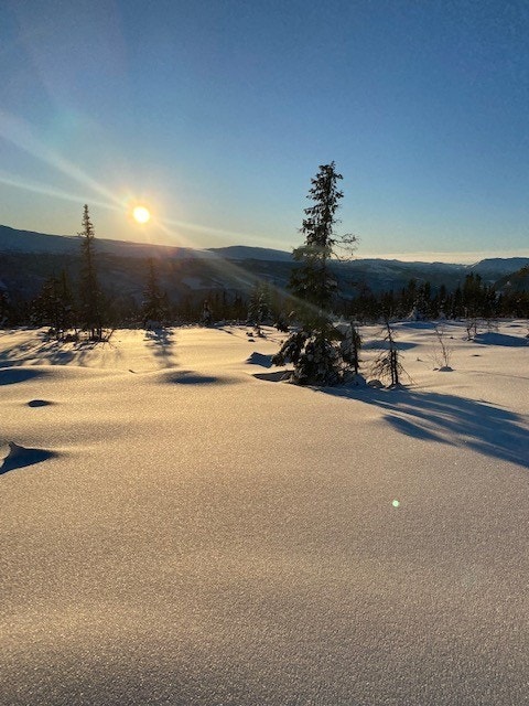 Sett fra tomt 5 (til og forbi tomt 6)
Her kan man få prosjektert hytte! Galleribilde