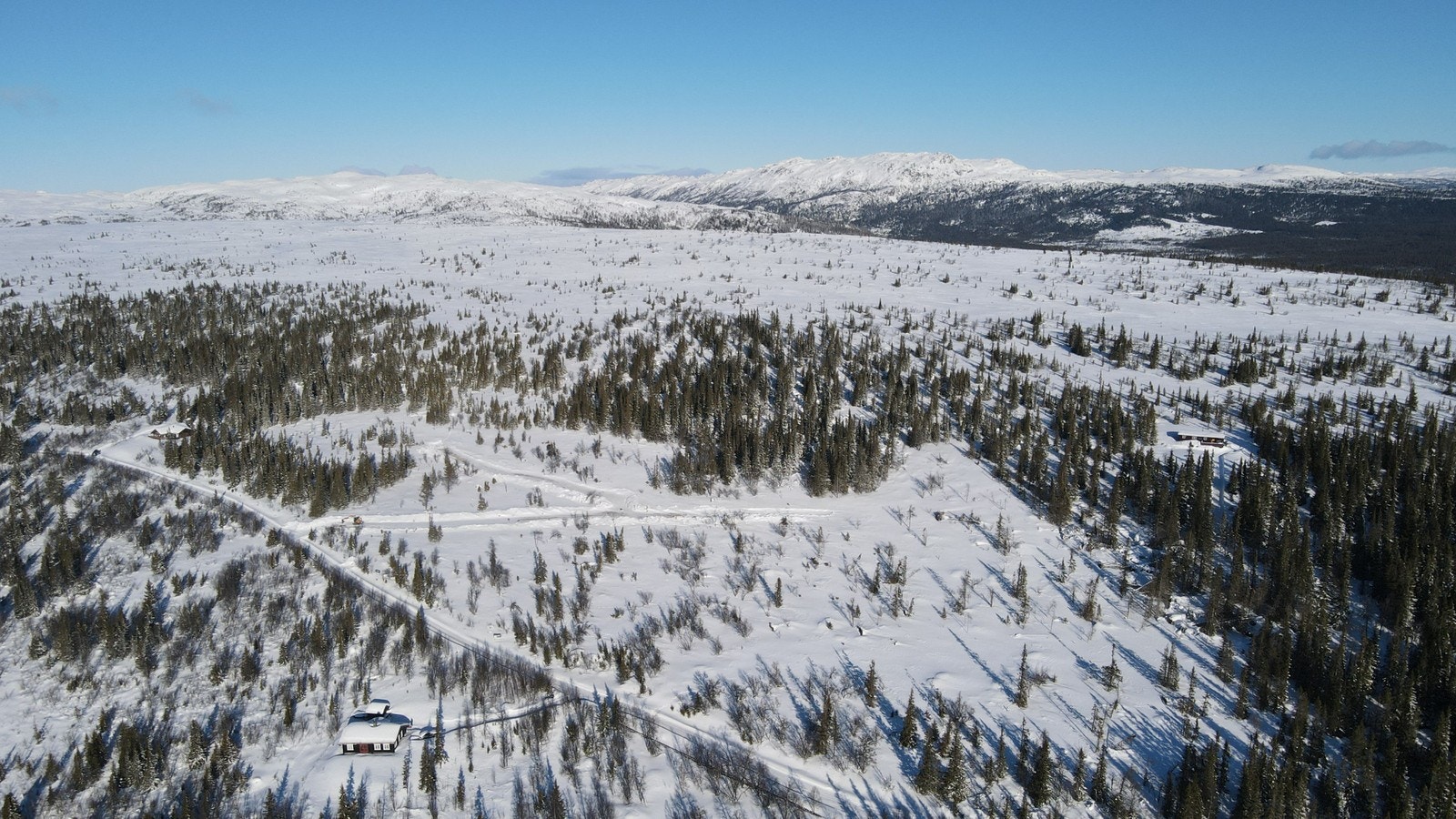 Flotte tomter på 960 moh, på toppen av Uvdal. Galleribilde