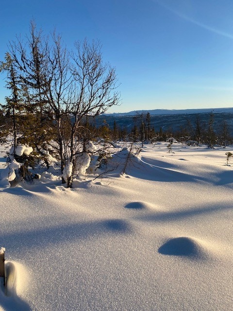 Sett fra tomt 5 (til tomt 11 og 6)
Her kan man få prosjektert hytte! Galleribilde