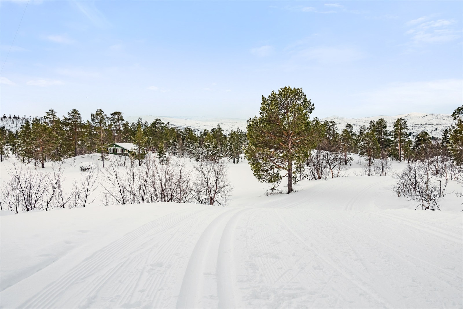 4_ute_6.jpg Galleribilde