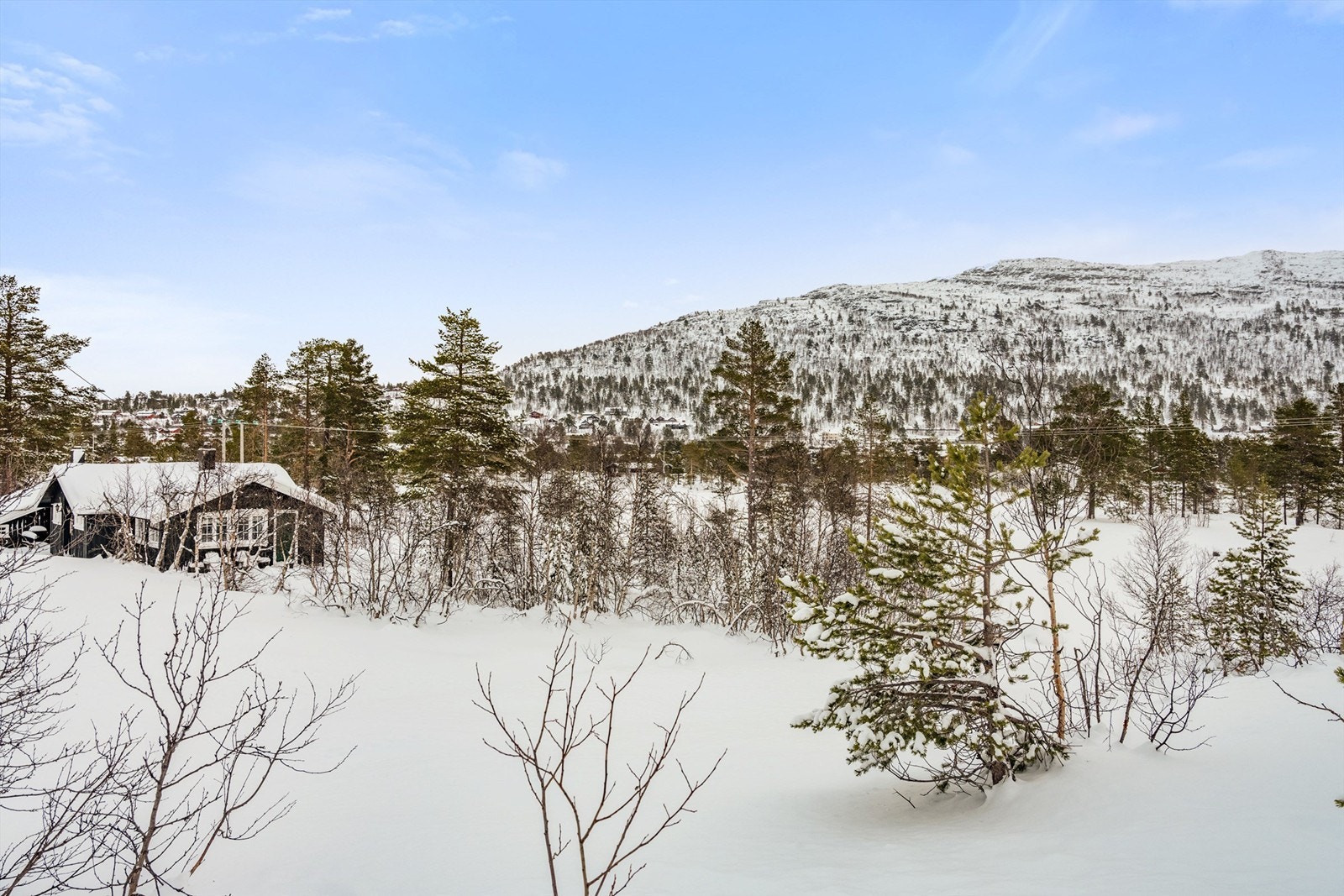 2_ute_4.jpg Galleribilde