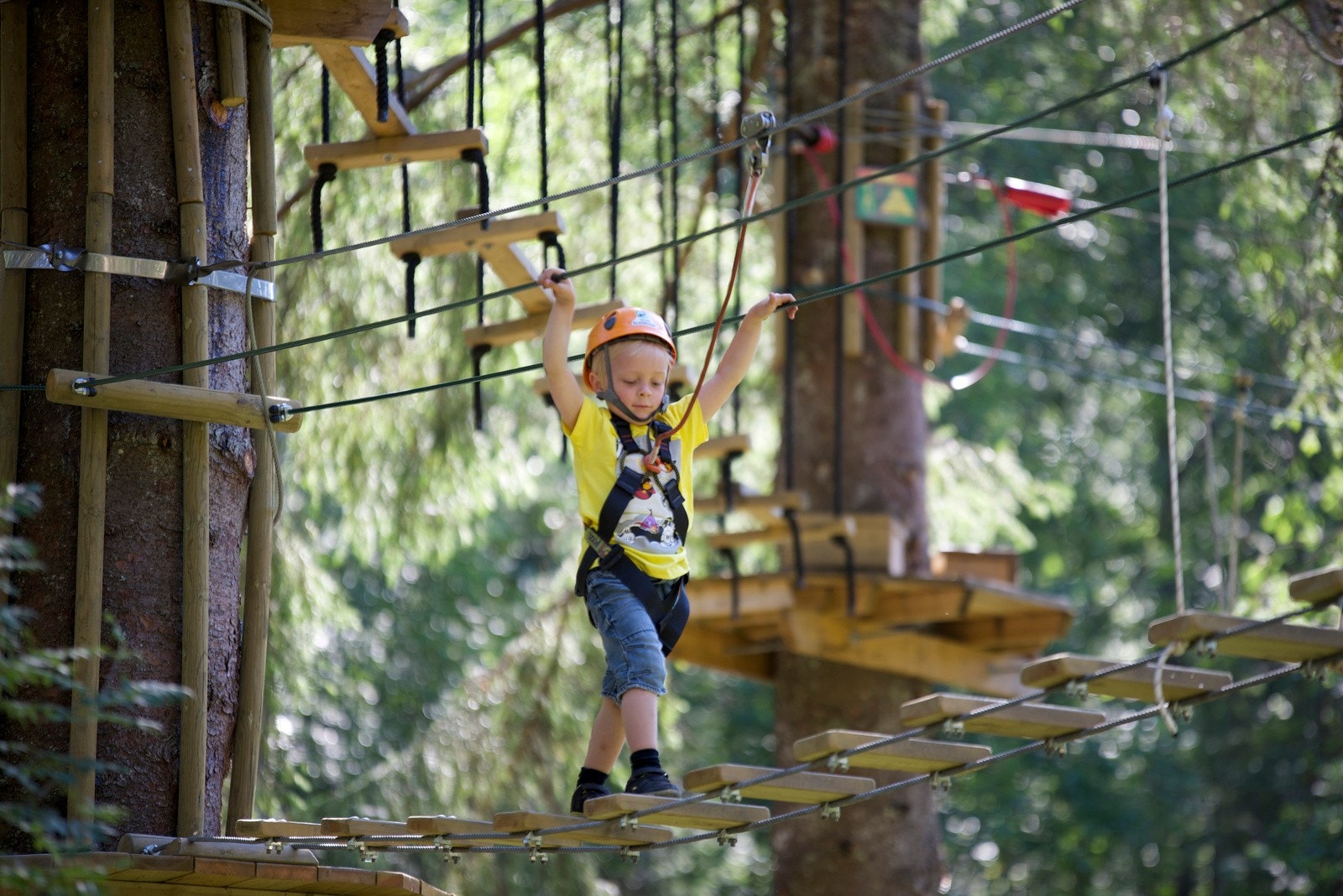 Klatrepark Galleribilde