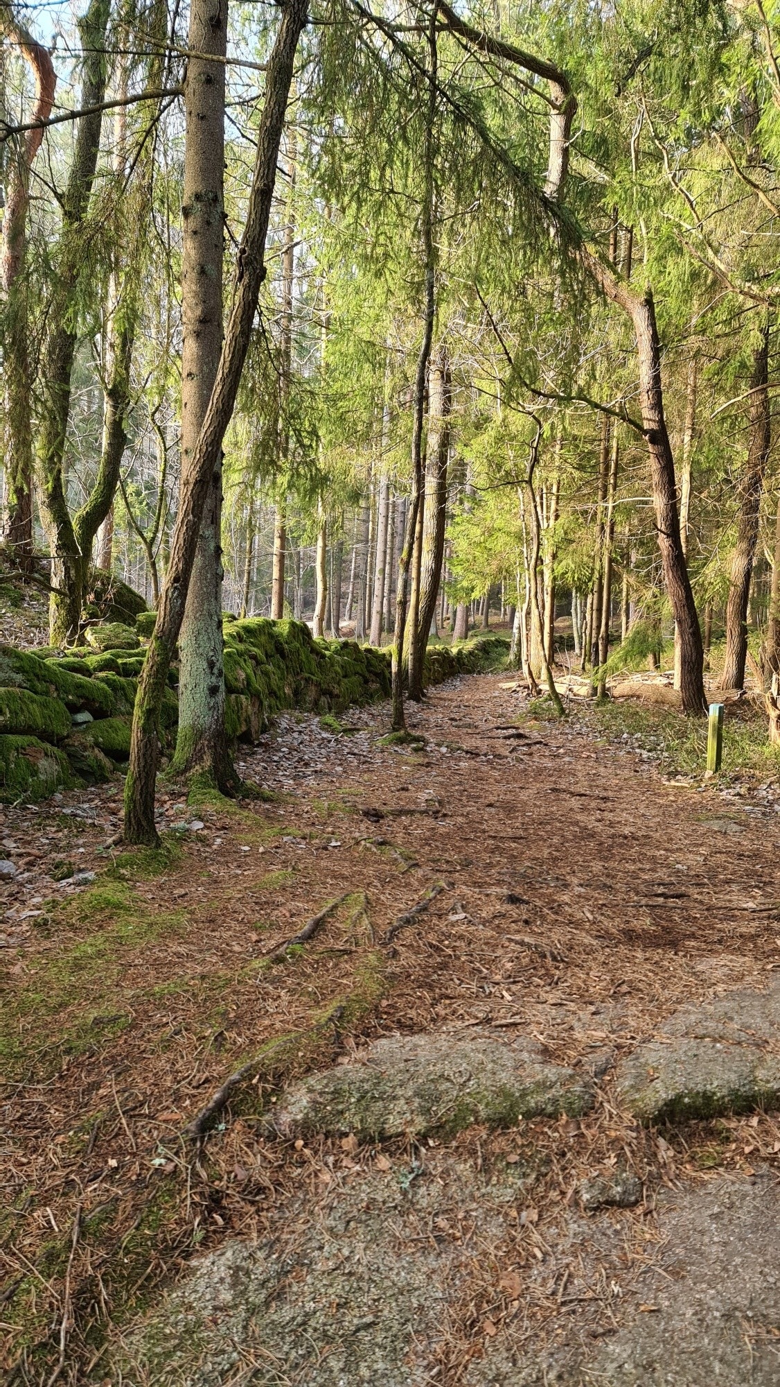 Parti fra Kyststien Galleribilde