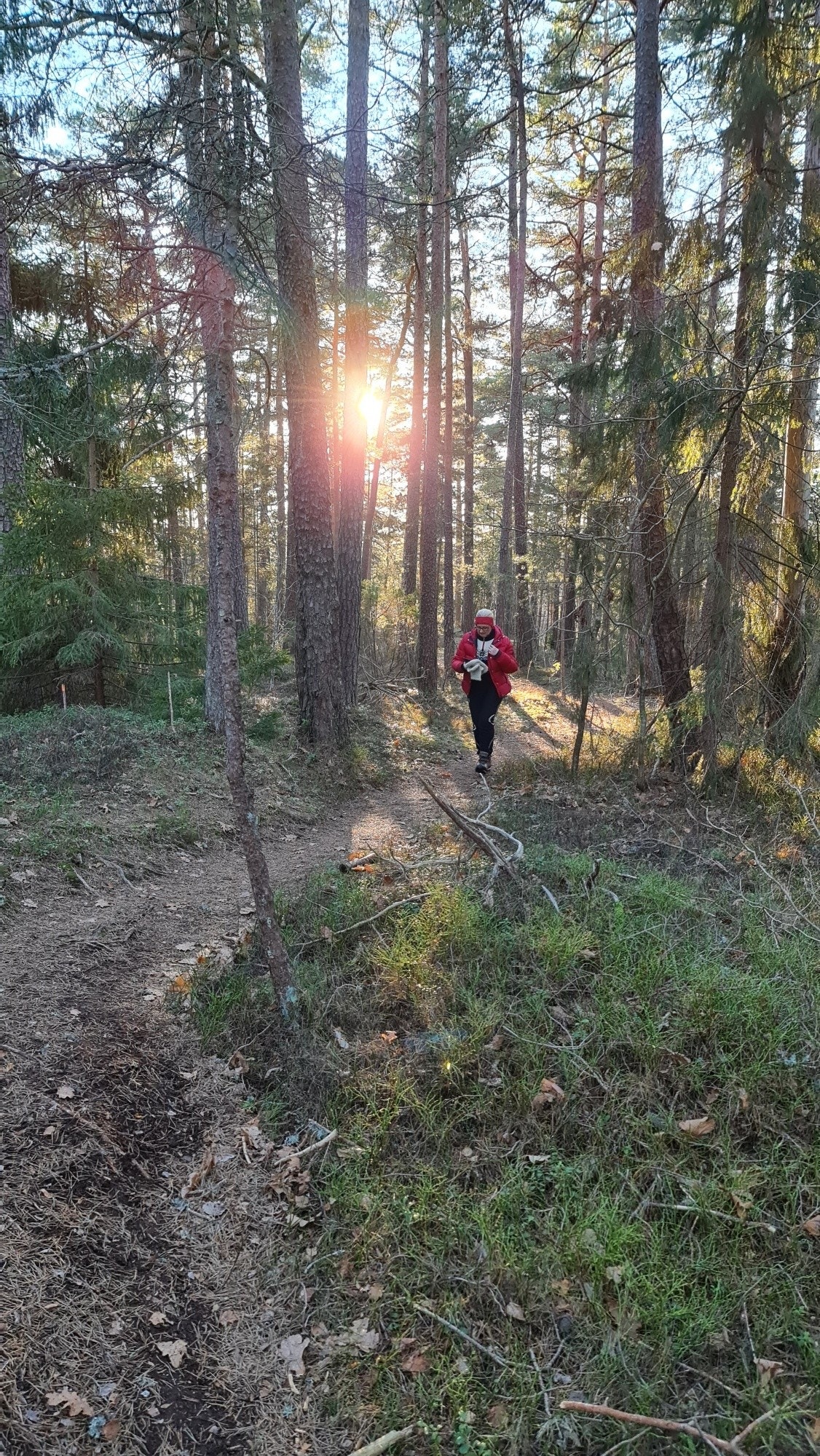 Parti fra Kyststien Galleribilde