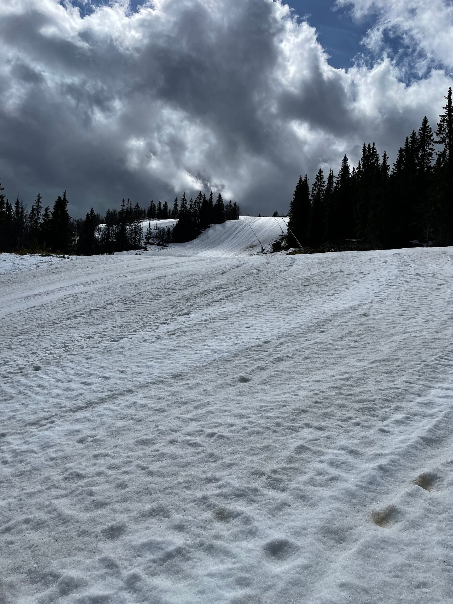 Det våres i alpinbakken Galleribilde