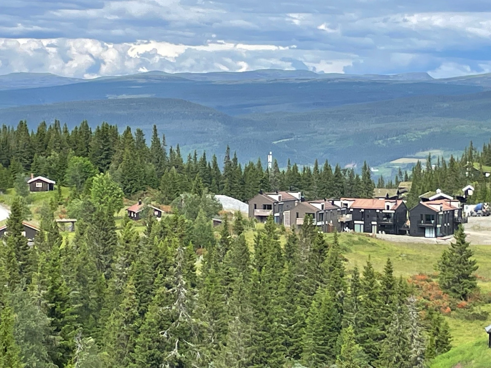 Kvitplassen, sommer Galleribilde