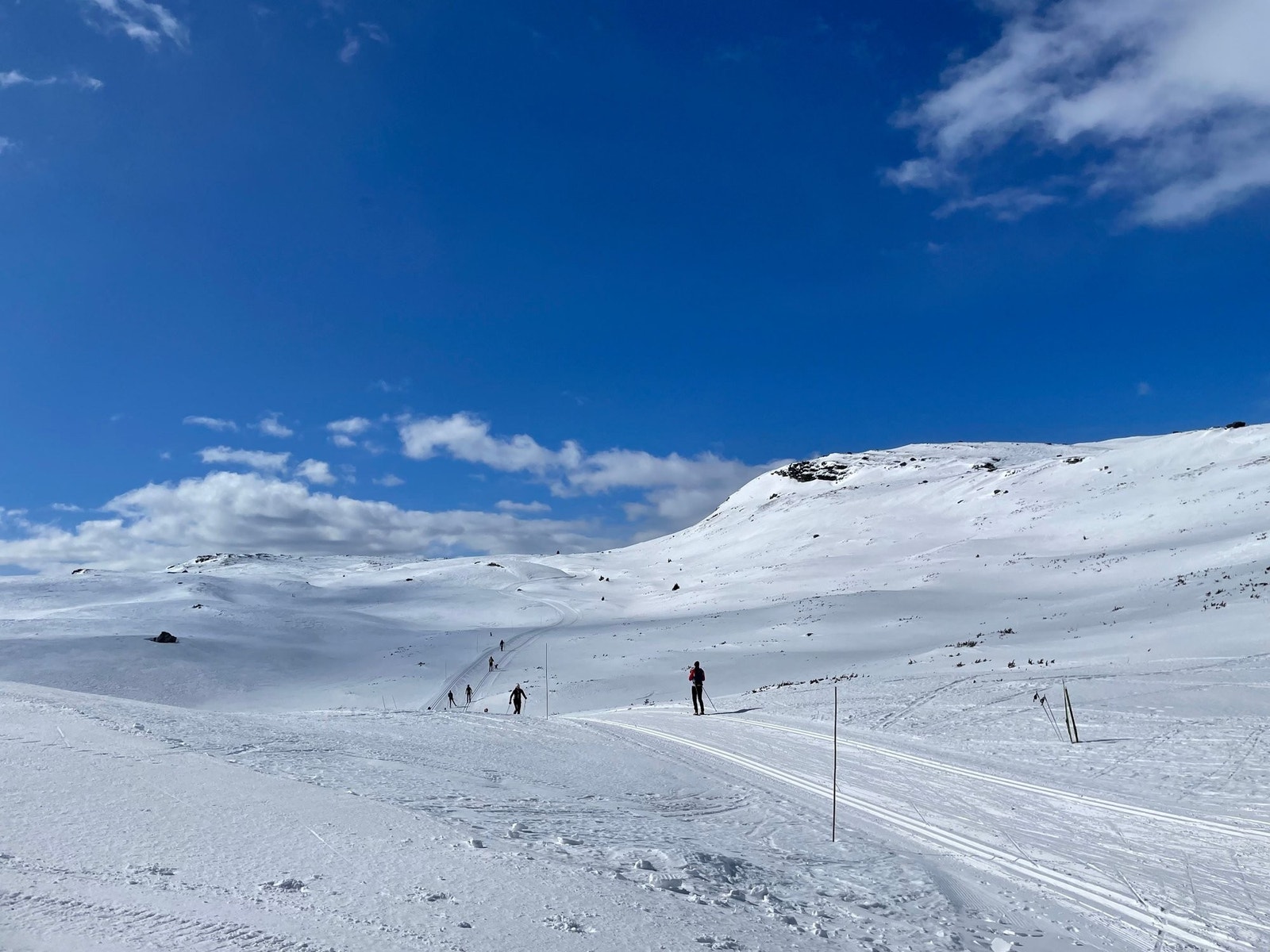 Mot Skardbua Galleribilde