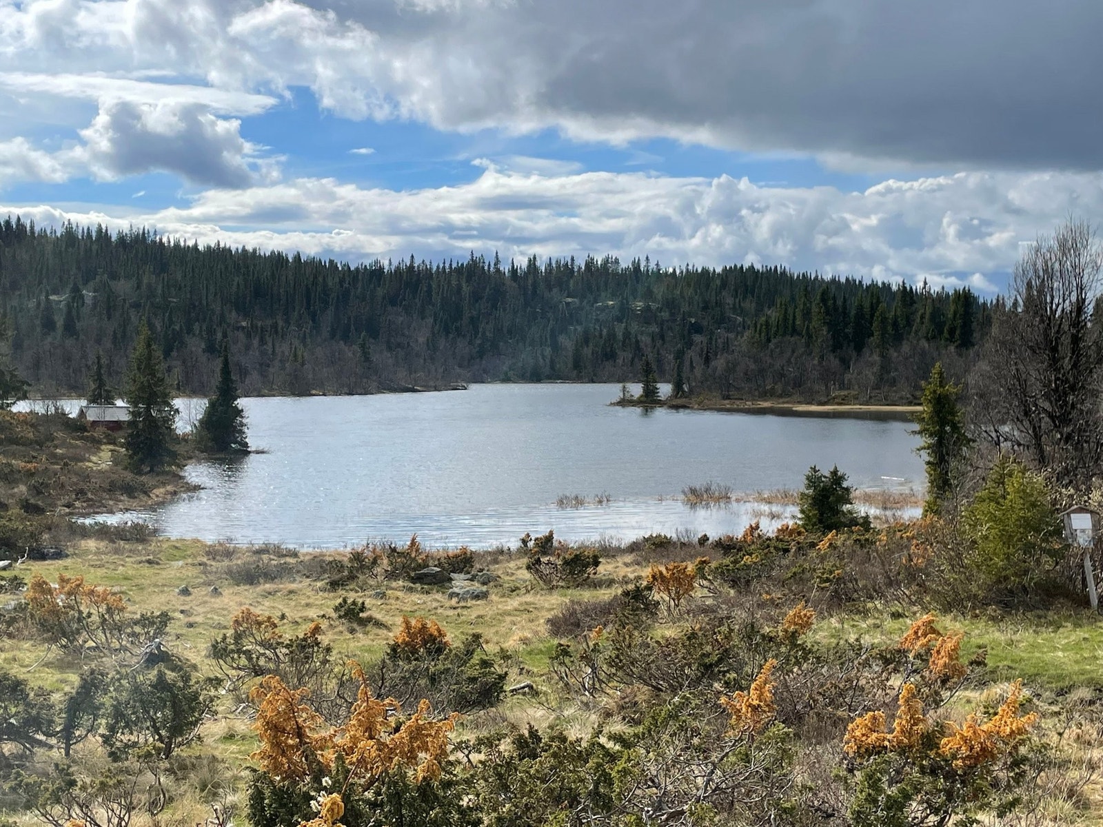 Fiskevann i nærheten Galleribilde
