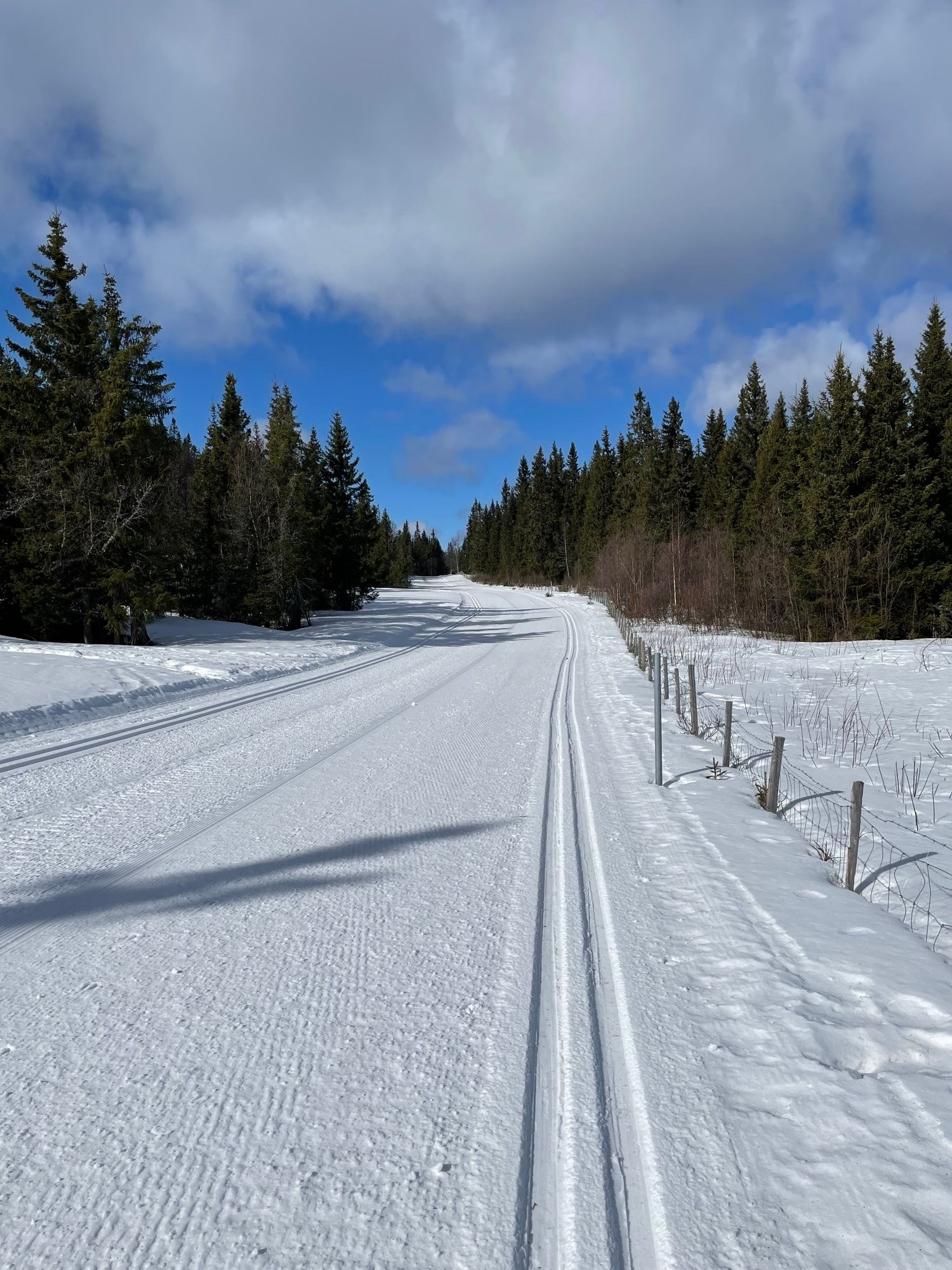 Flotte skiløyper Galleribilde