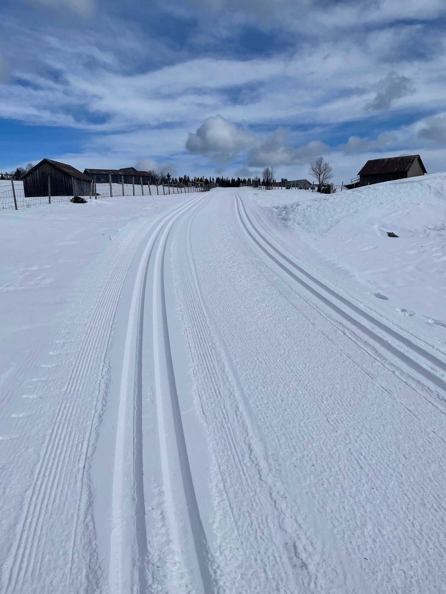 Svinslåa i flotte skiløyper Galleribilde