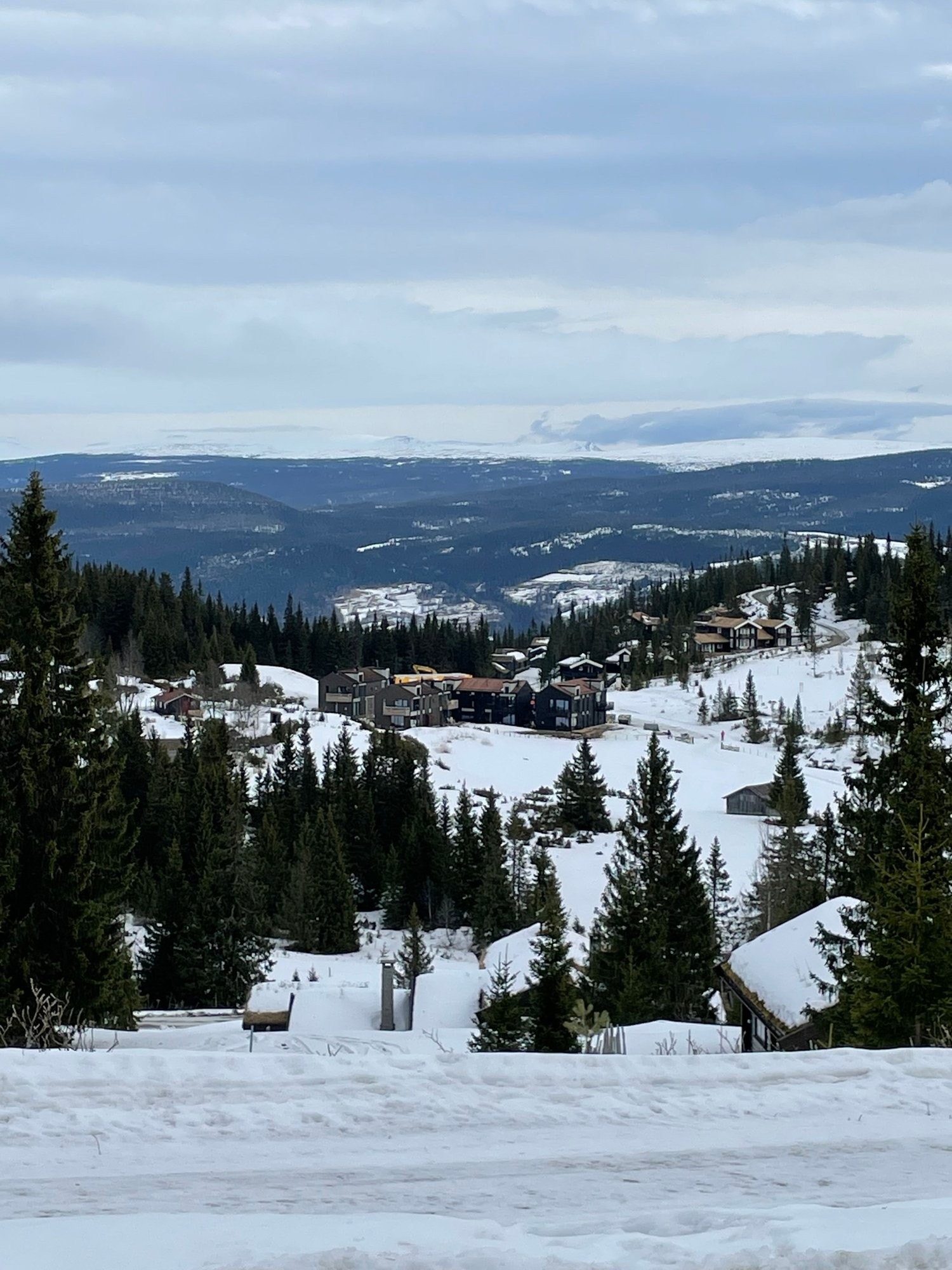 Kvitplassen, vinter Galleribilde