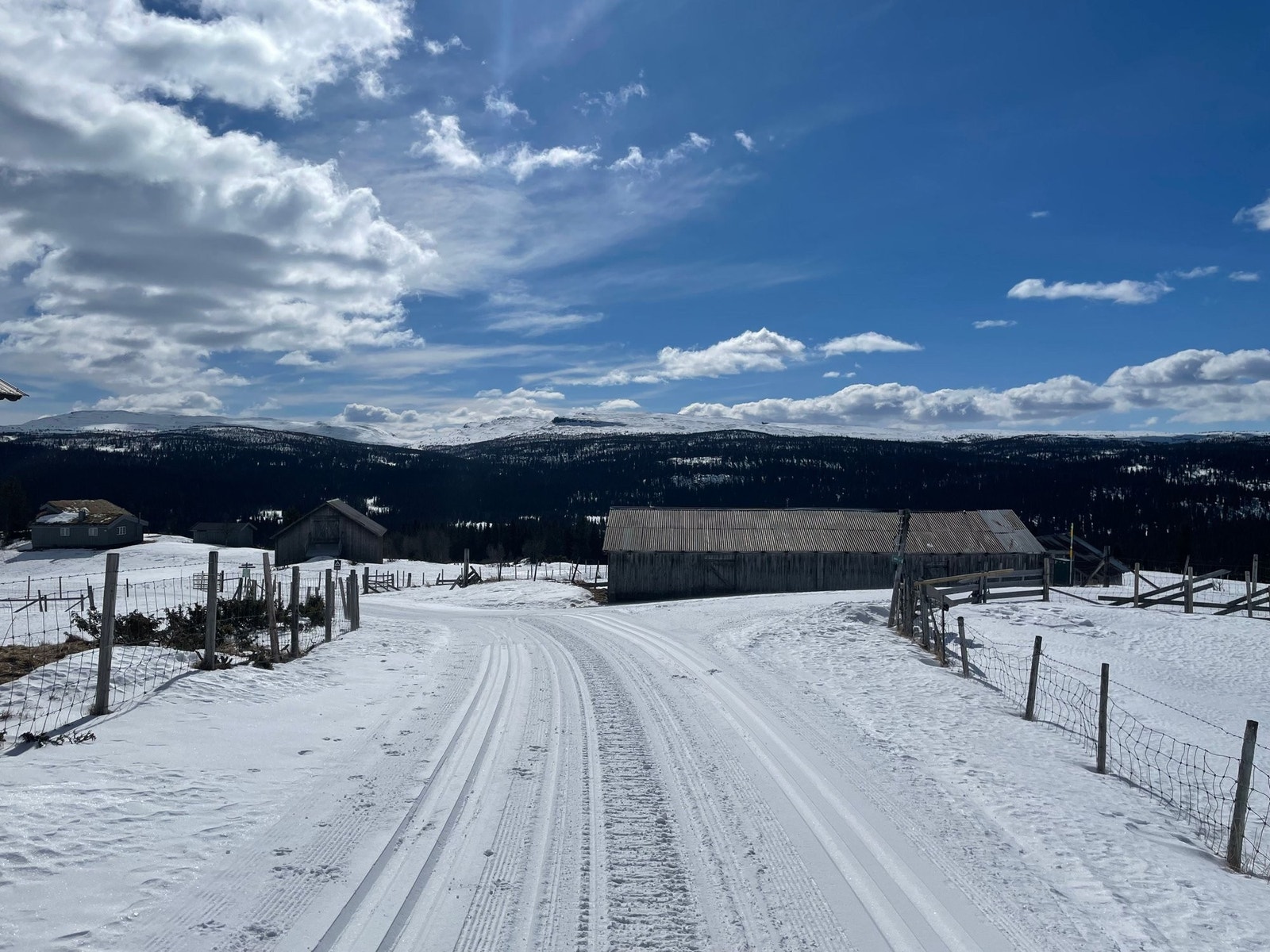 Svinslåa Galleribilde