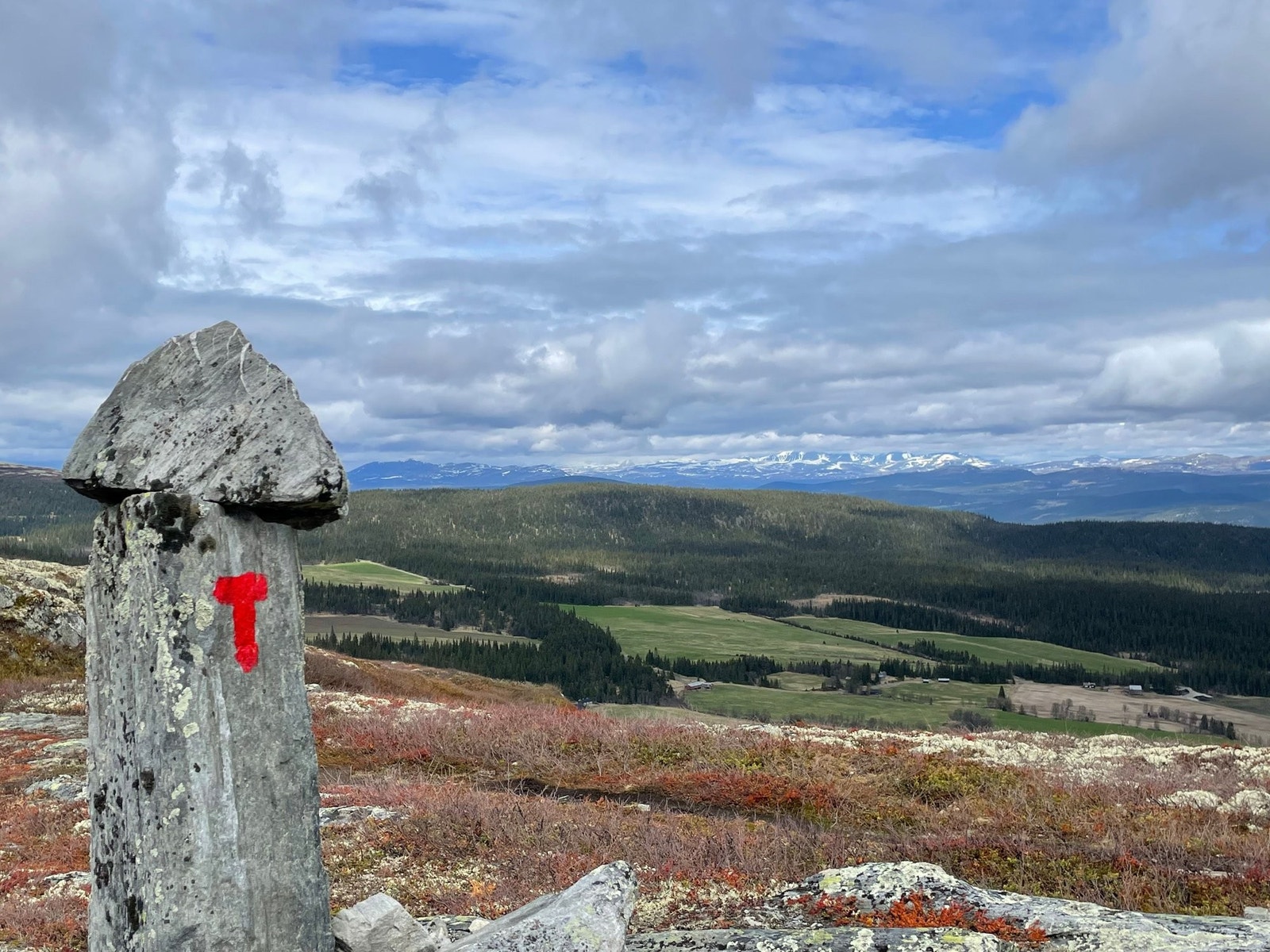 Utsikt fra Hestknappen Galleribilde