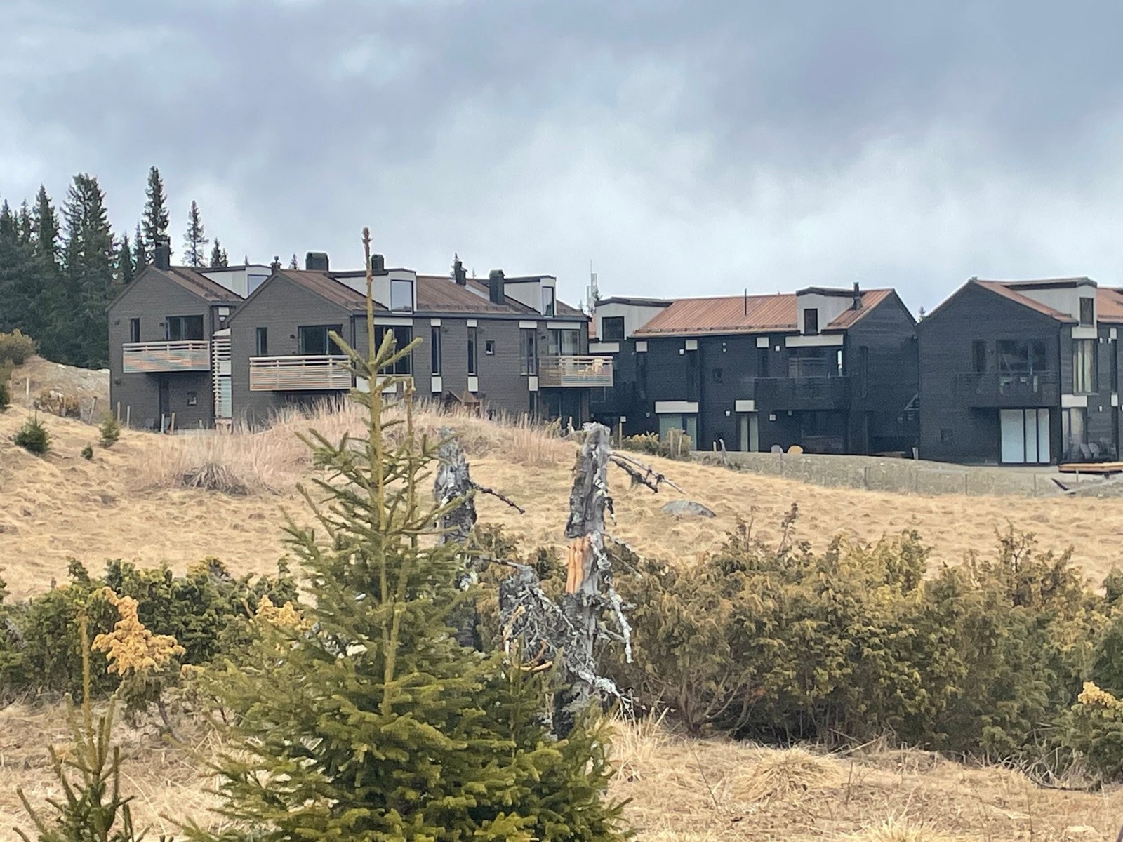 Kvitplassen, vår Galleribilde