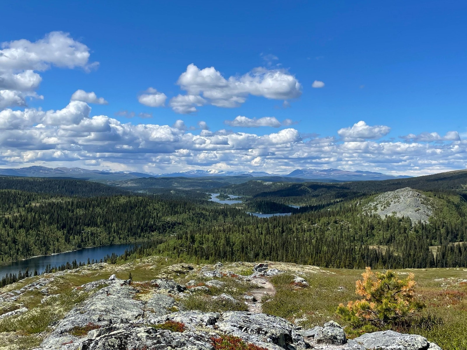 På vei over Hestknappen Galleribilde