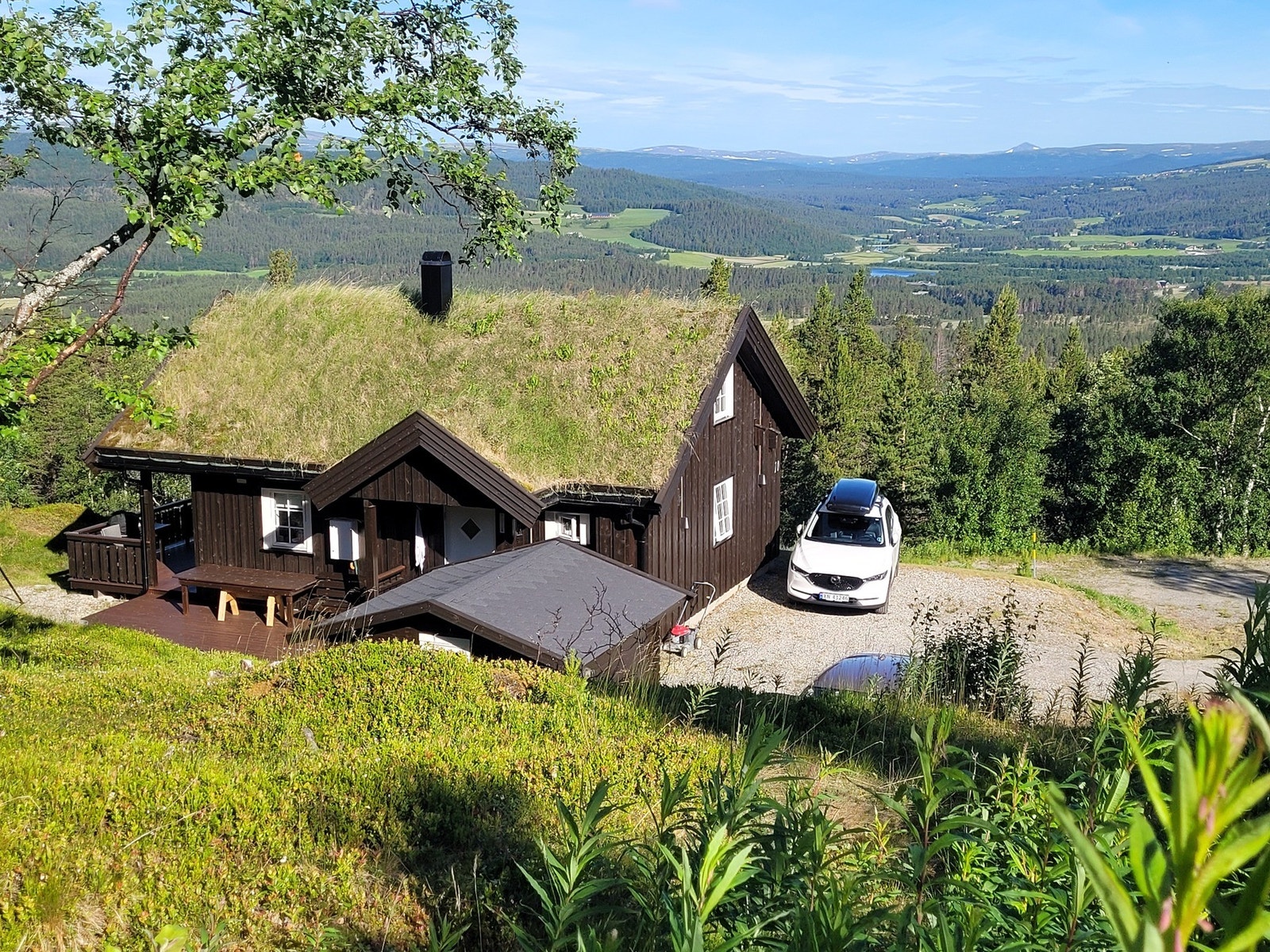 Selgers private bilder. Galleribilde