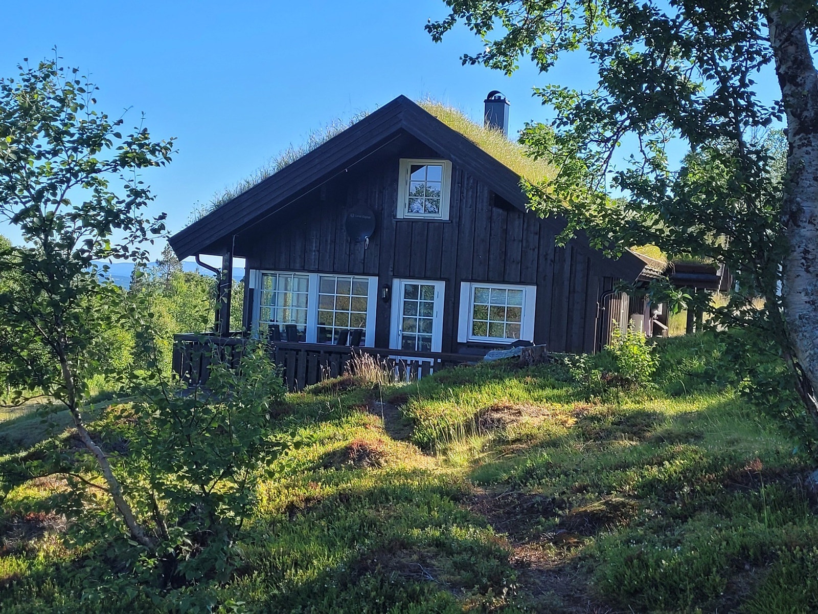 Selgers private bilder. Galleribilde