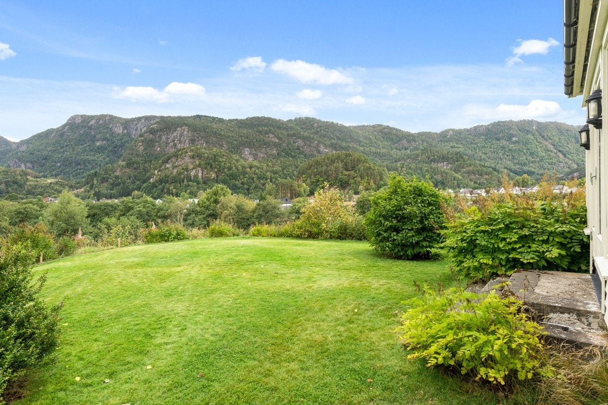 4831965_1-fycpmb1.jpg Galleribilde