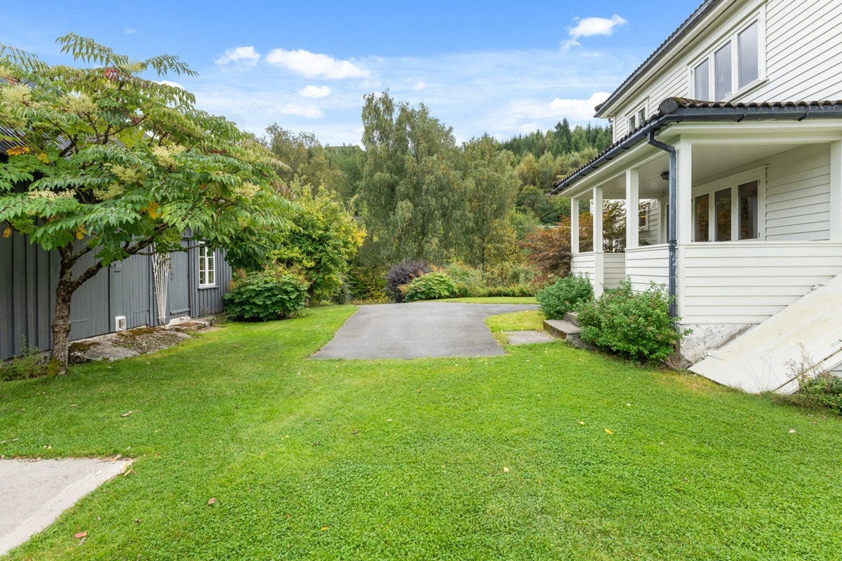 4831969_1-dzbjgb1.jpg Galleribilde