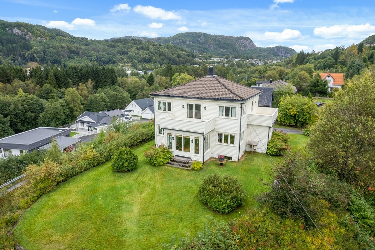 4831980_1-twamwb1.jpg Galleribilde