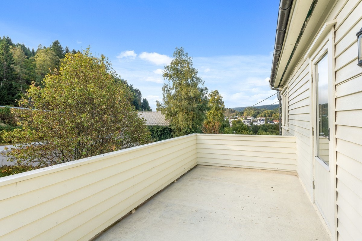 4832011_1-rhxhgb1.jpg Galleribilde