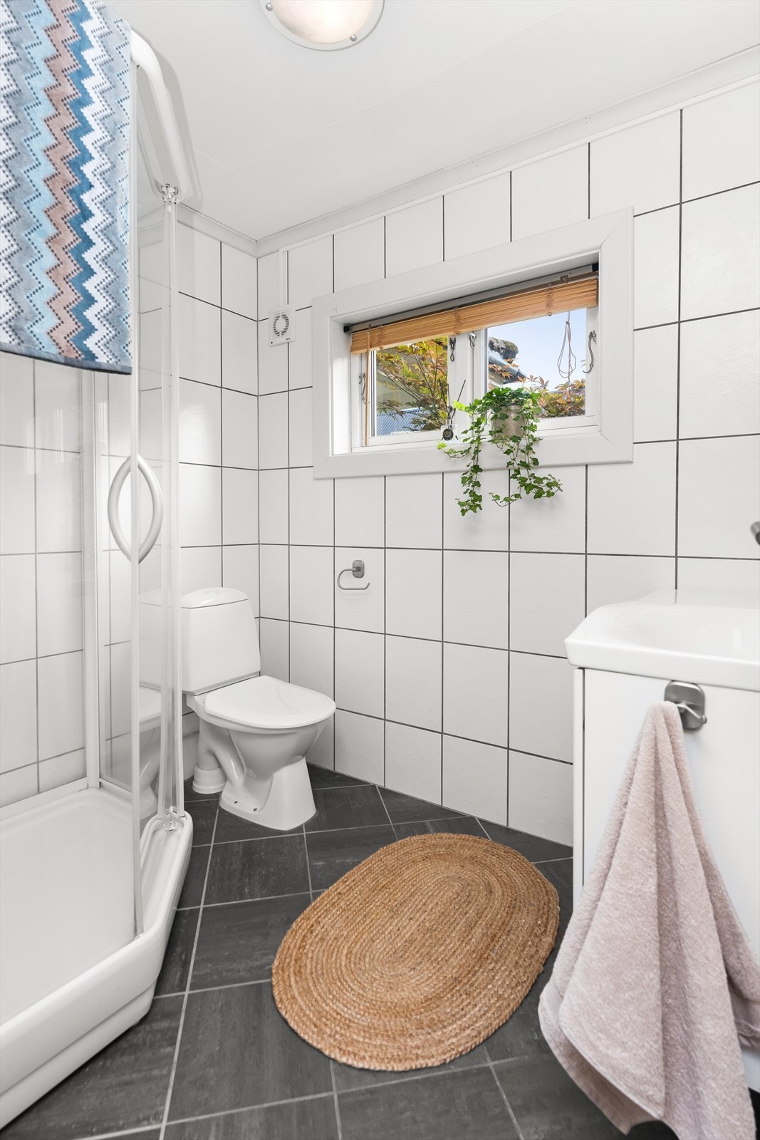 4831997_1-ywnmjb1.jpg Galleribilde