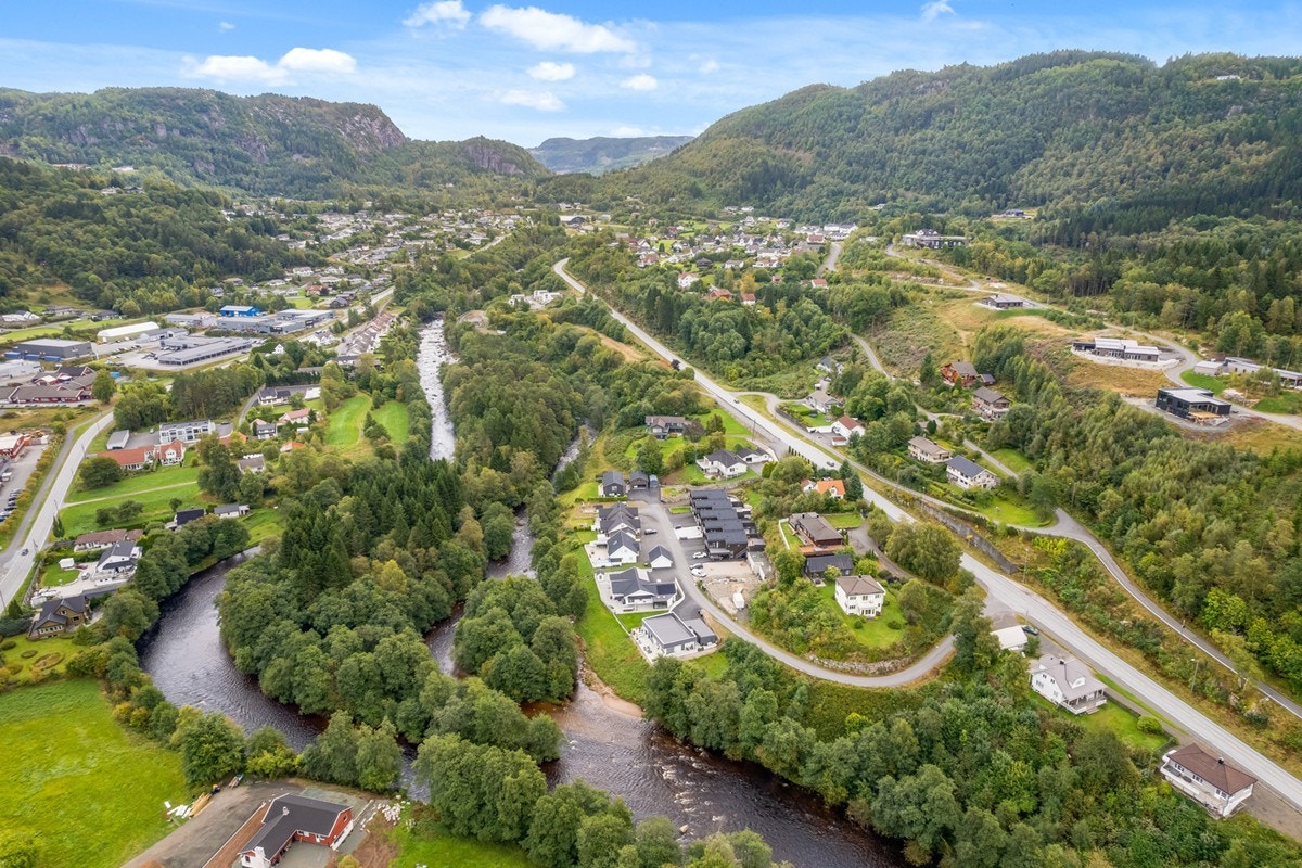 4831972_1-rszpyb1.jpg Galleribilde