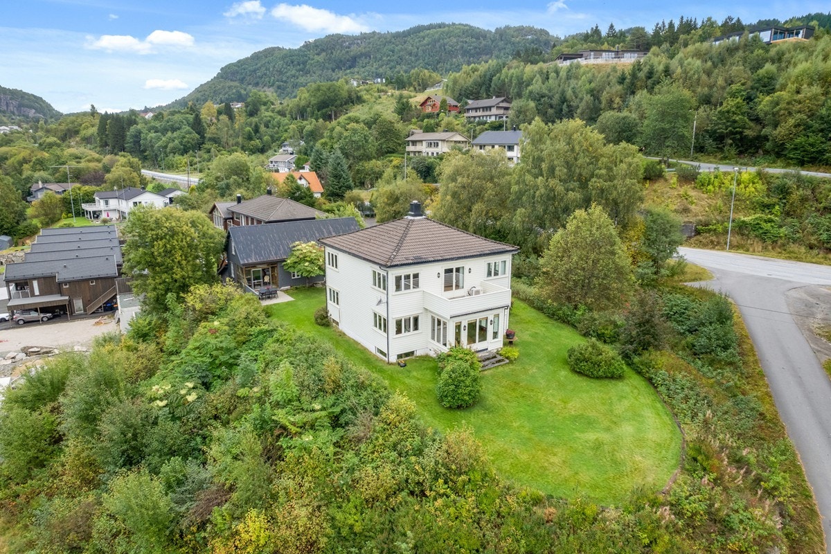 4831978_1-sdgxab1.jpg Galleribilde