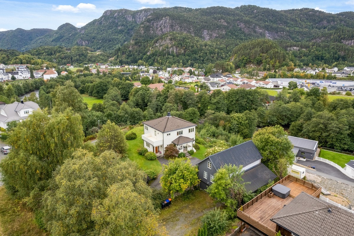 4831981_1-oszjgb1.jpg Galleribilde