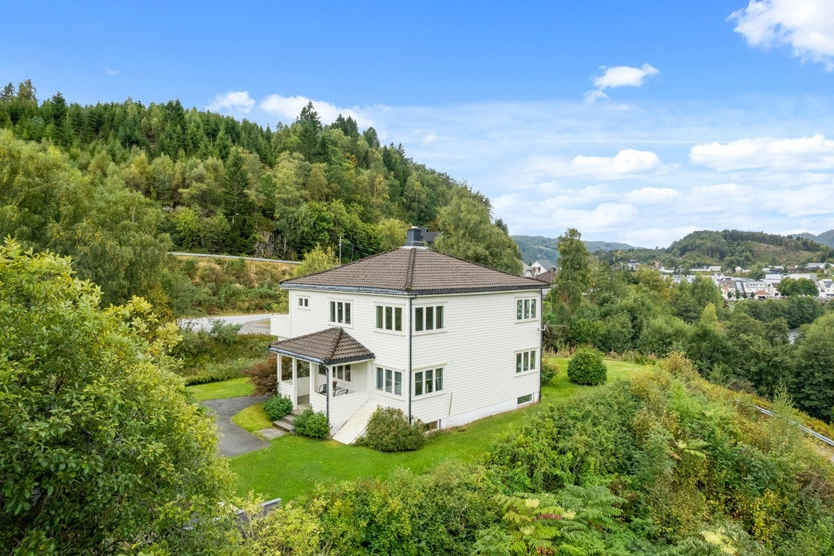 4831975_1-gpegjb1.jpg Galleribilde