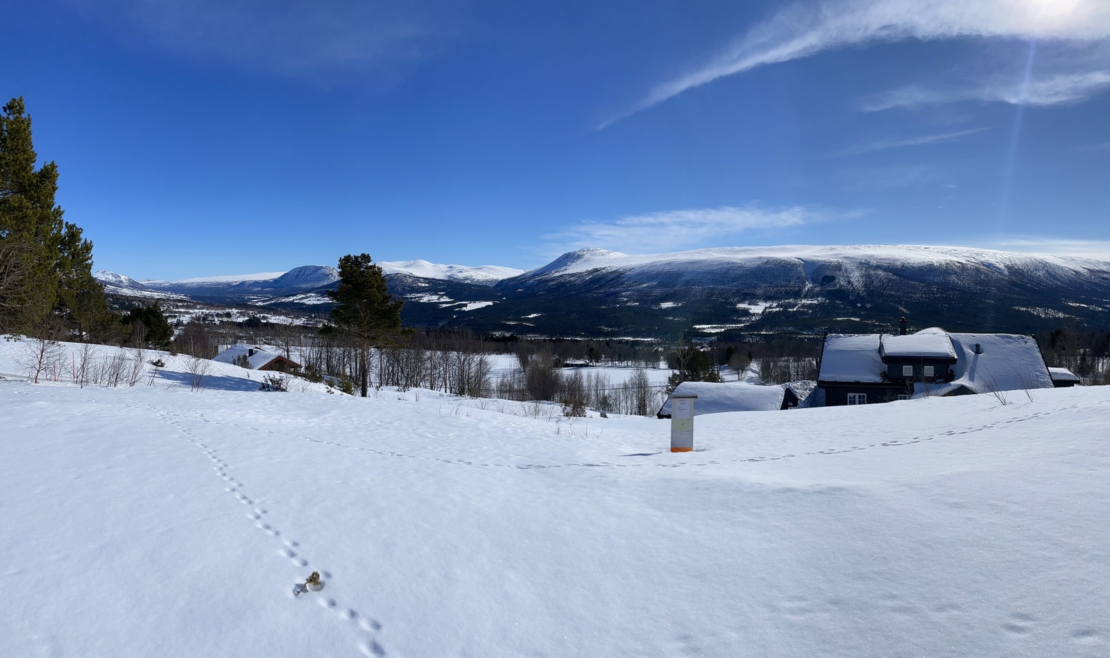 For en utsikt. Galleribilde