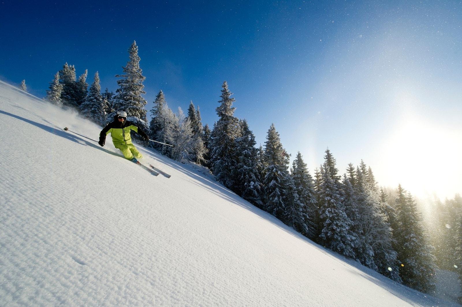 Fra alpinanlegget Galleribilde