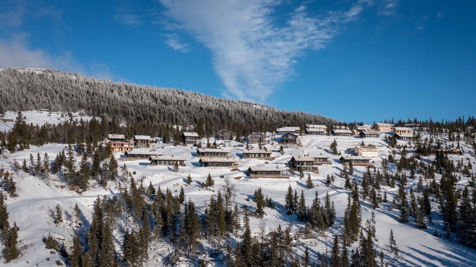Fra tomtefeltet mot Segelstadseterkampen
Foto: MonoMedia Galleribilde