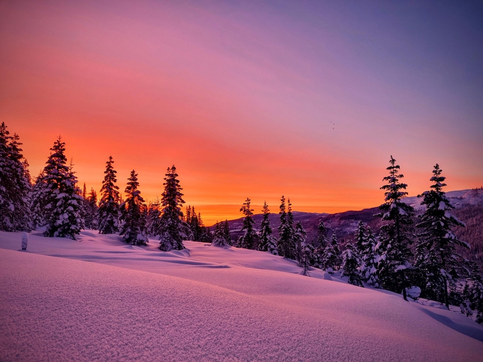 Utsikt fra tomteområdet Galleribilde