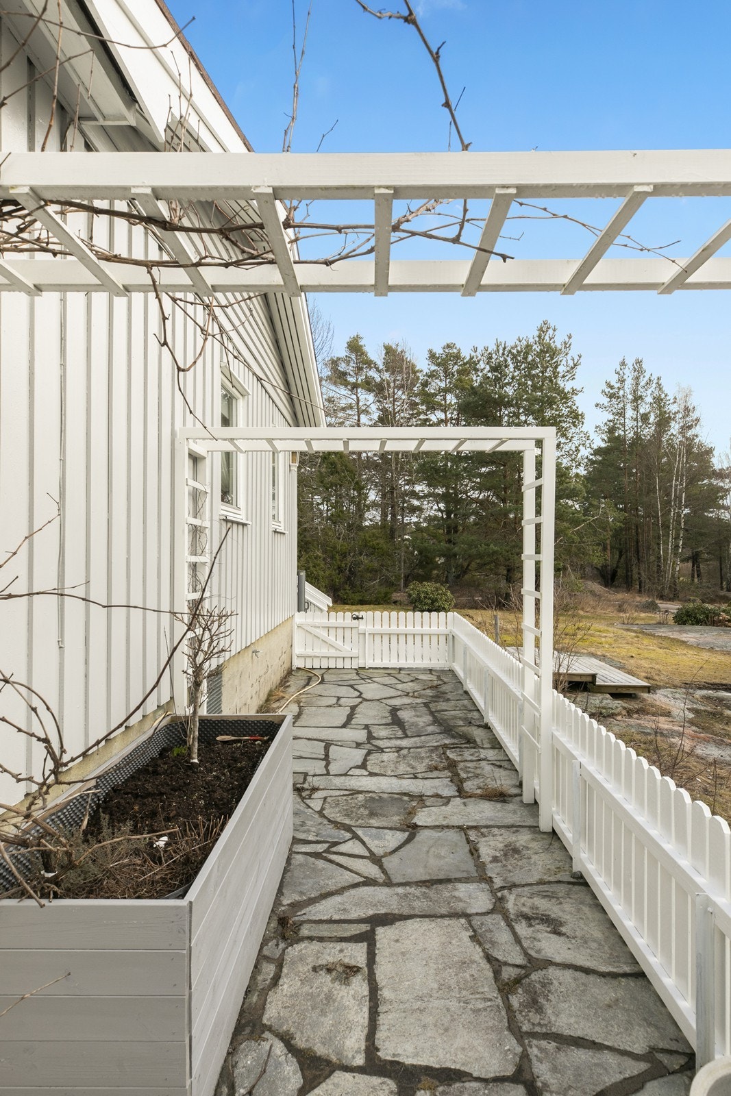 Lag deg en grønn oase mot sommerstid! Galleribilde