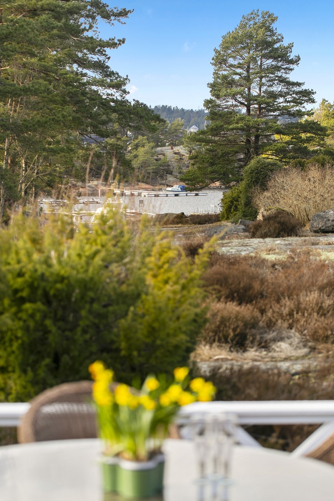 Utsikt fra terrassen. Galleribilde